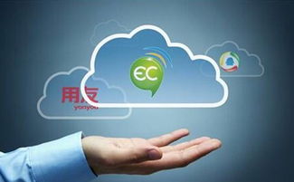 大品牌的管理軟件真的就好嗎？